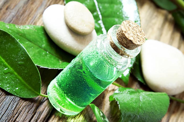 8 Amazing Health Benefits Of Tea Tree Oil For Babies